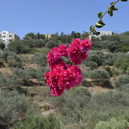 Valentino's * Panormos (Kalymnos)