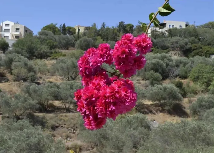 Valentino's * Panormos (Kalymnos)
